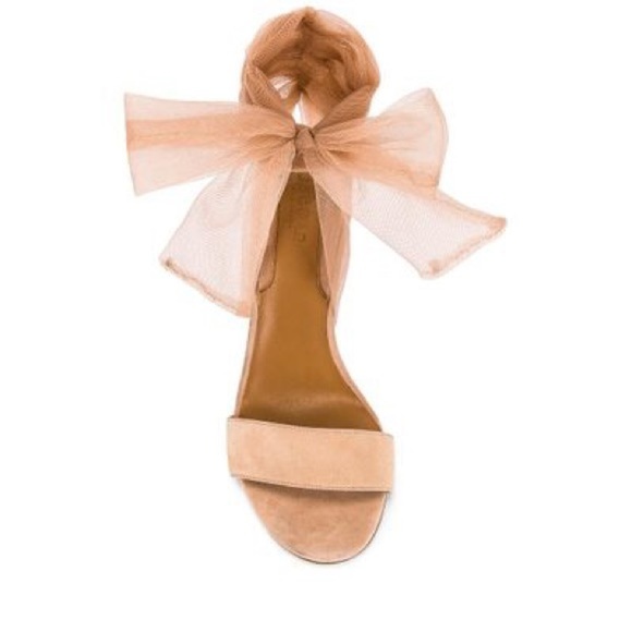 JAGGAR | Aura Suede Leather Lace Up Heels - Picture 15 of 16